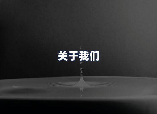 关于我们